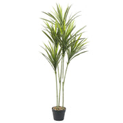 Artificial Variegated Dracaena Reflexa