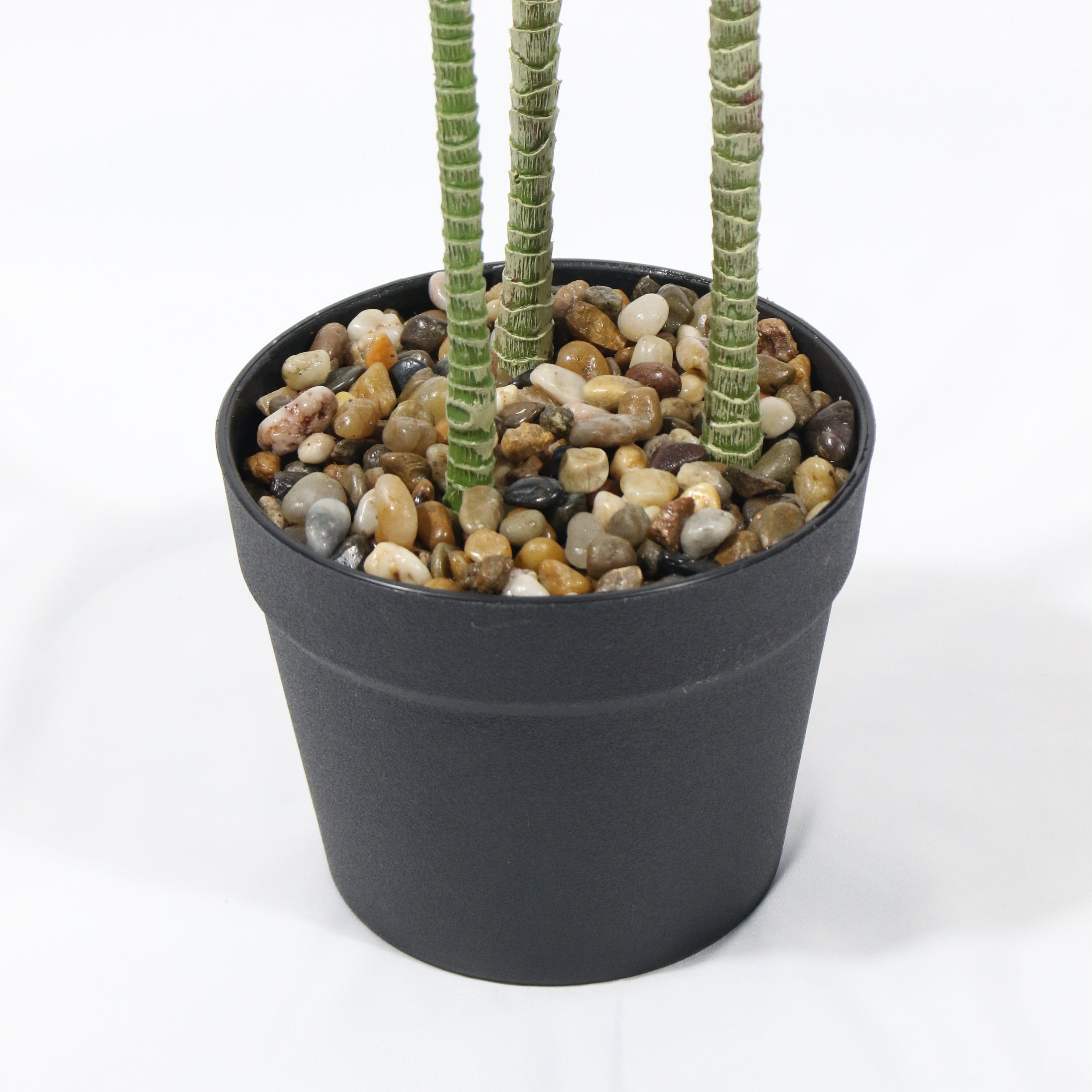 Artificial Plant