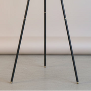 Black Tripod Floor Lamp
