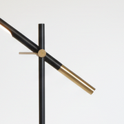 Adjustable Floor Lamp