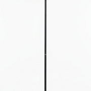 Black Floor Lamp With Gold Shade