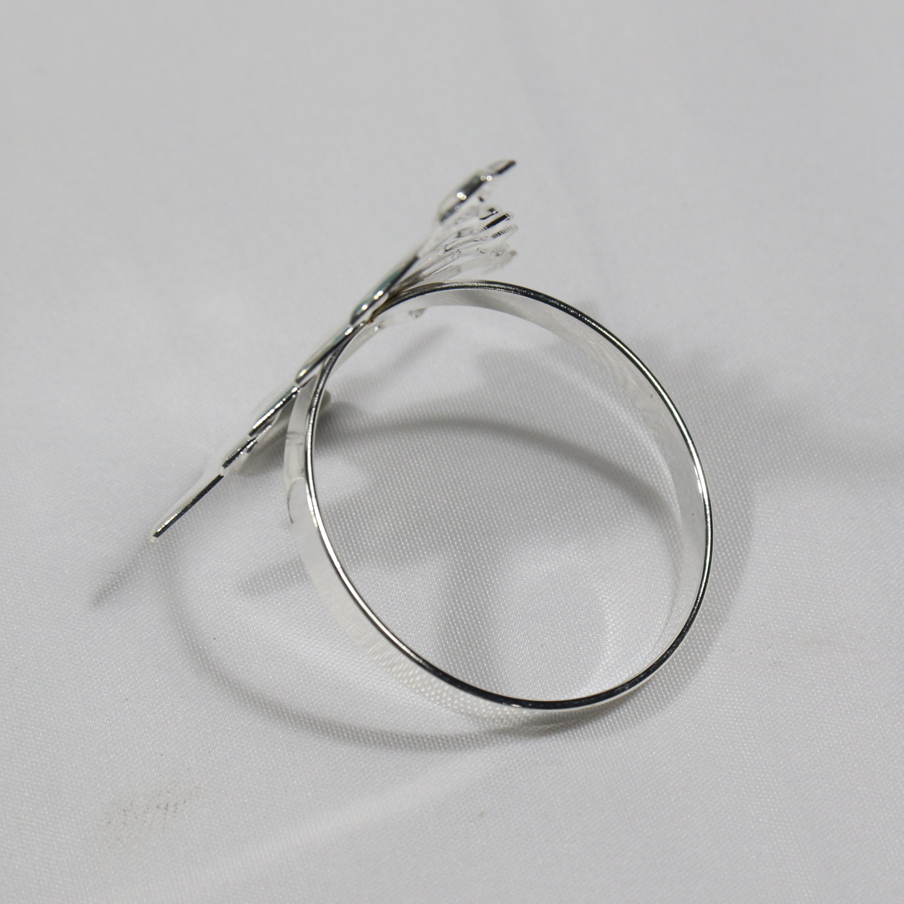 Napkin Rings Set