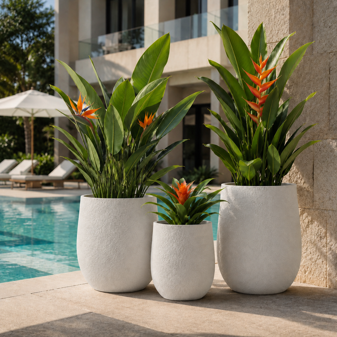 Granular Magnesium Plant Pot Holder