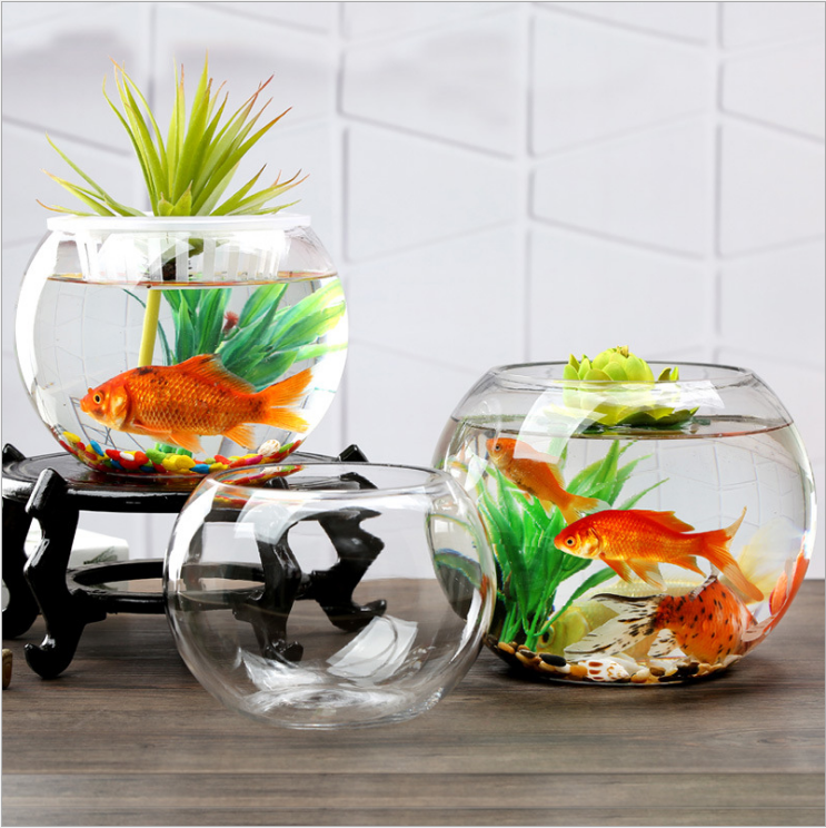 Fish Bowl