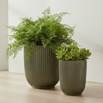 Load image into Gallery viewer, Gold Ribbed Plant Holder
