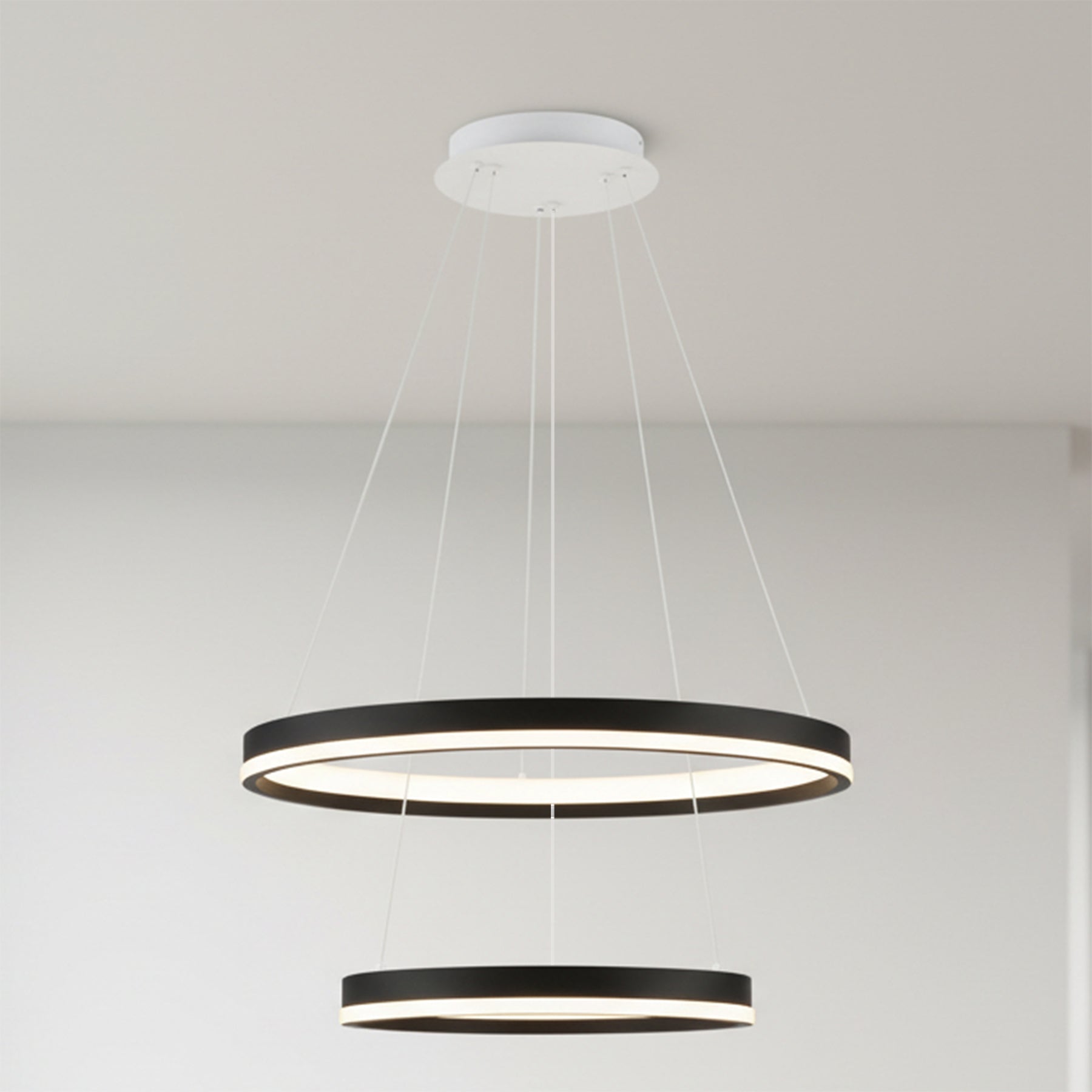 Double Ceiling Light