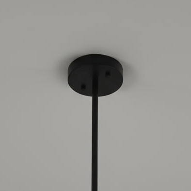 Black 3 Bulb Ceiling Light