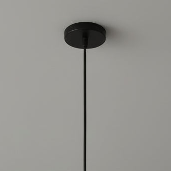 Single Wheel Holder Type Ceiling Light