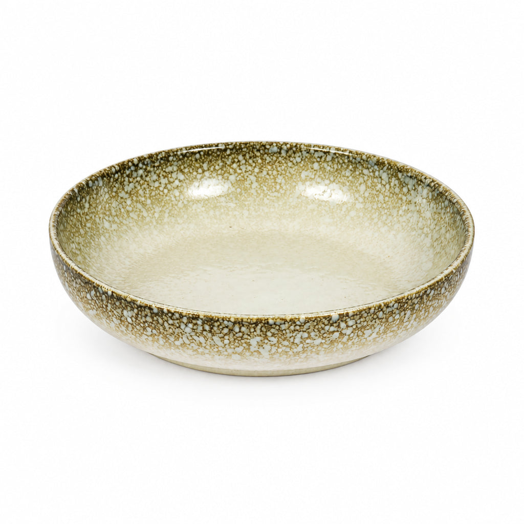Moss Speckled Dinnerware Set