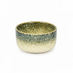 Load image into Gallery viewer, Moss Speckled Dinnerware Set
