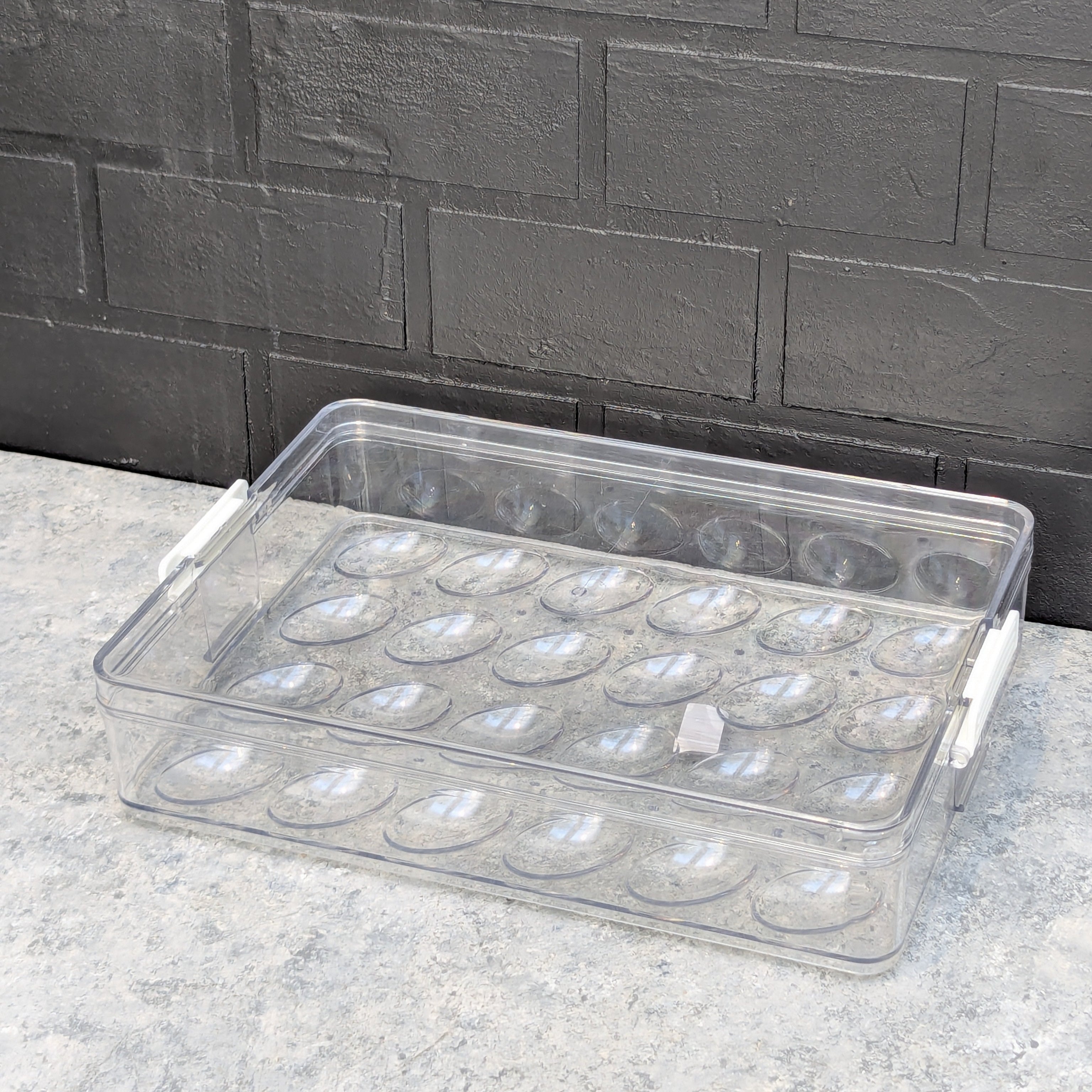 Egg Storage Box