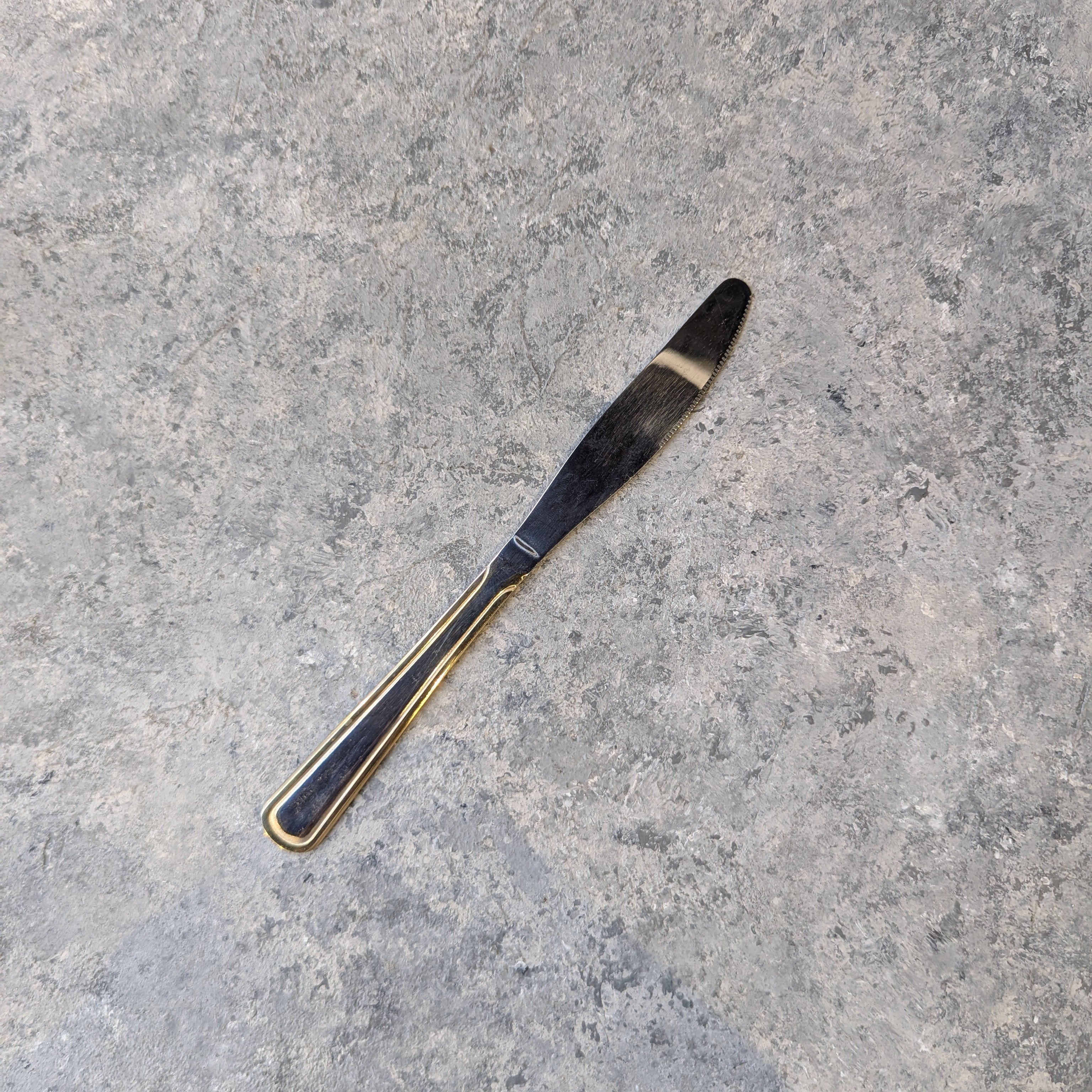 Silver with Gold Line Cutlery Set