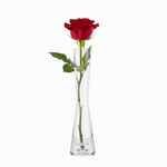 Load image into Gallery viewer, Clear Thin Glass Vase
