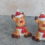Load image into Gallery viewer, Salt &amp; Pepper Shaker Mix - CER063
