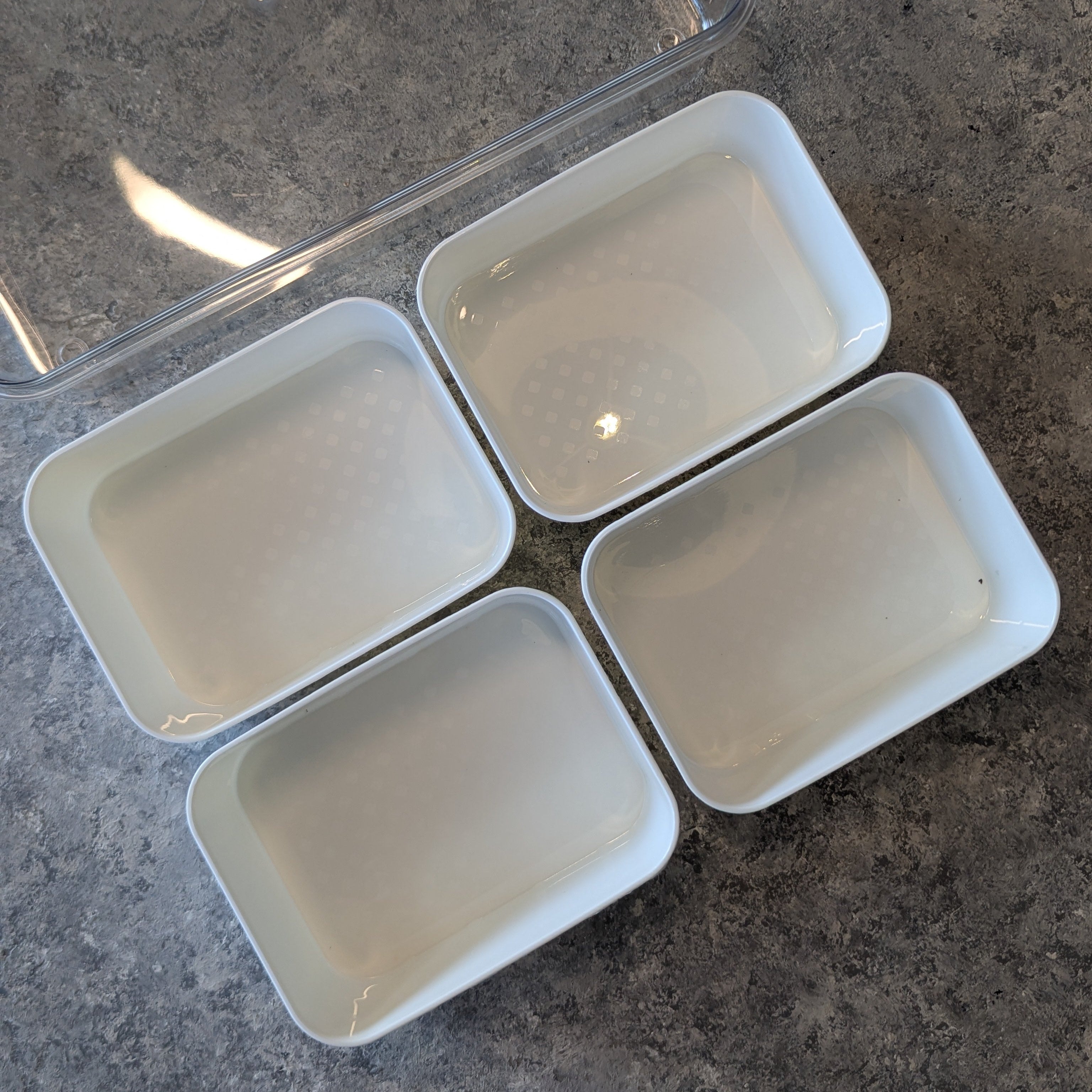 Preservation Box with Handles