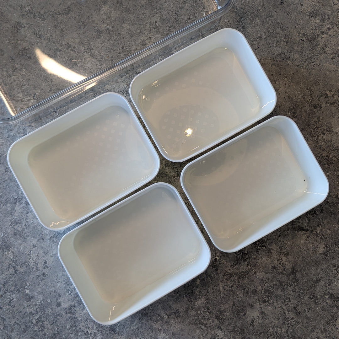 Preservation Box with Handles