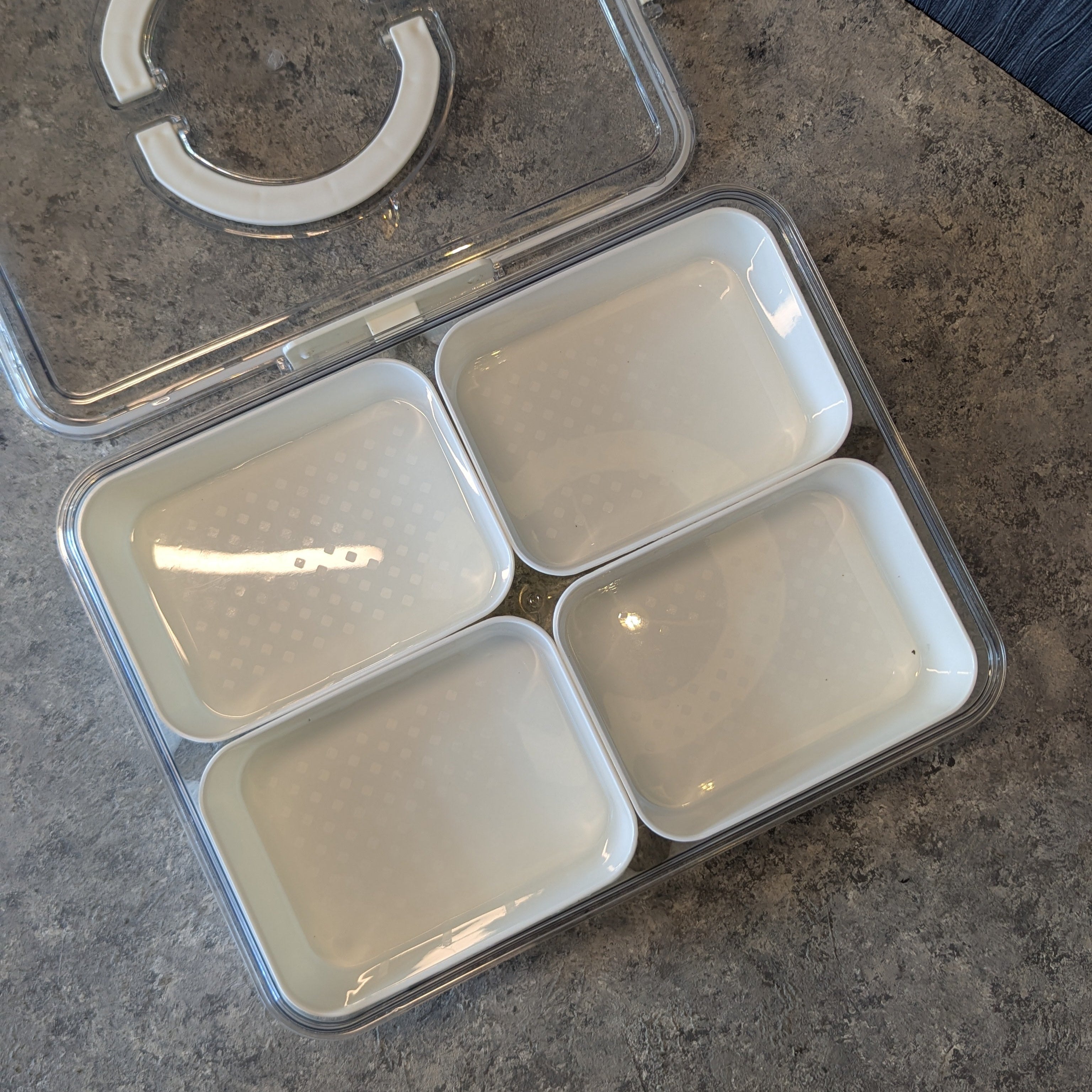 Preservation Box with Handles