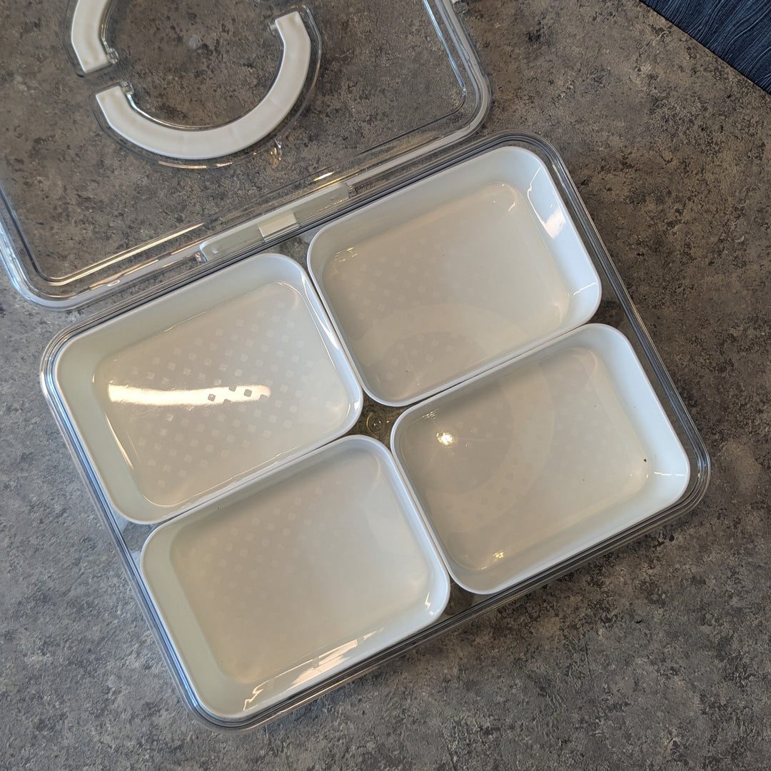 Preservation Box with Handles