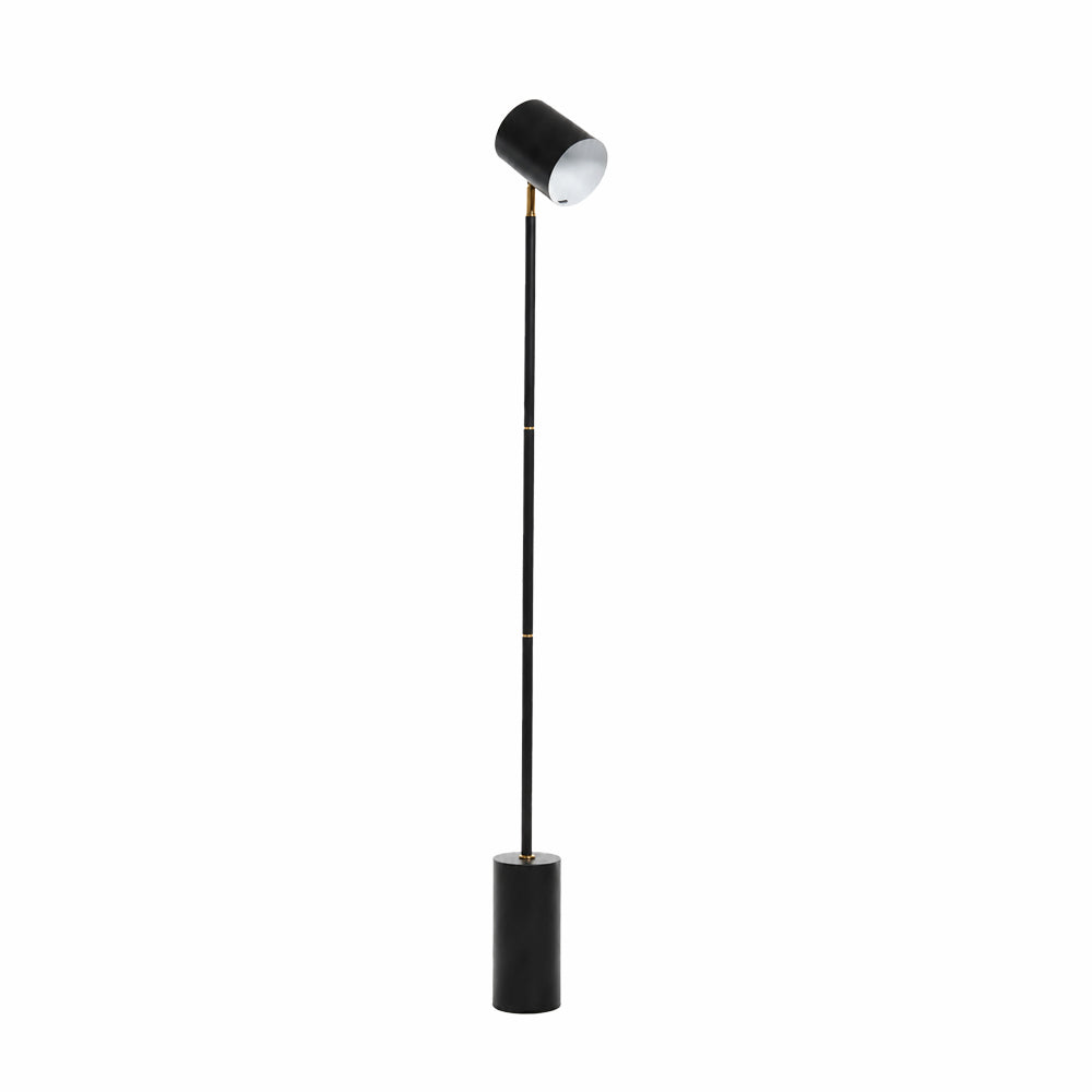 Spotlight Floor Lamp