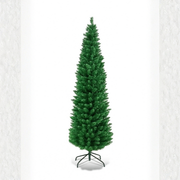 Green Full Bush Narrow Tree -TR012