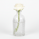 Load image into Gallery viewer, Clear Glass Vase
