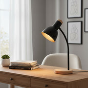 Bendable Study Lamp