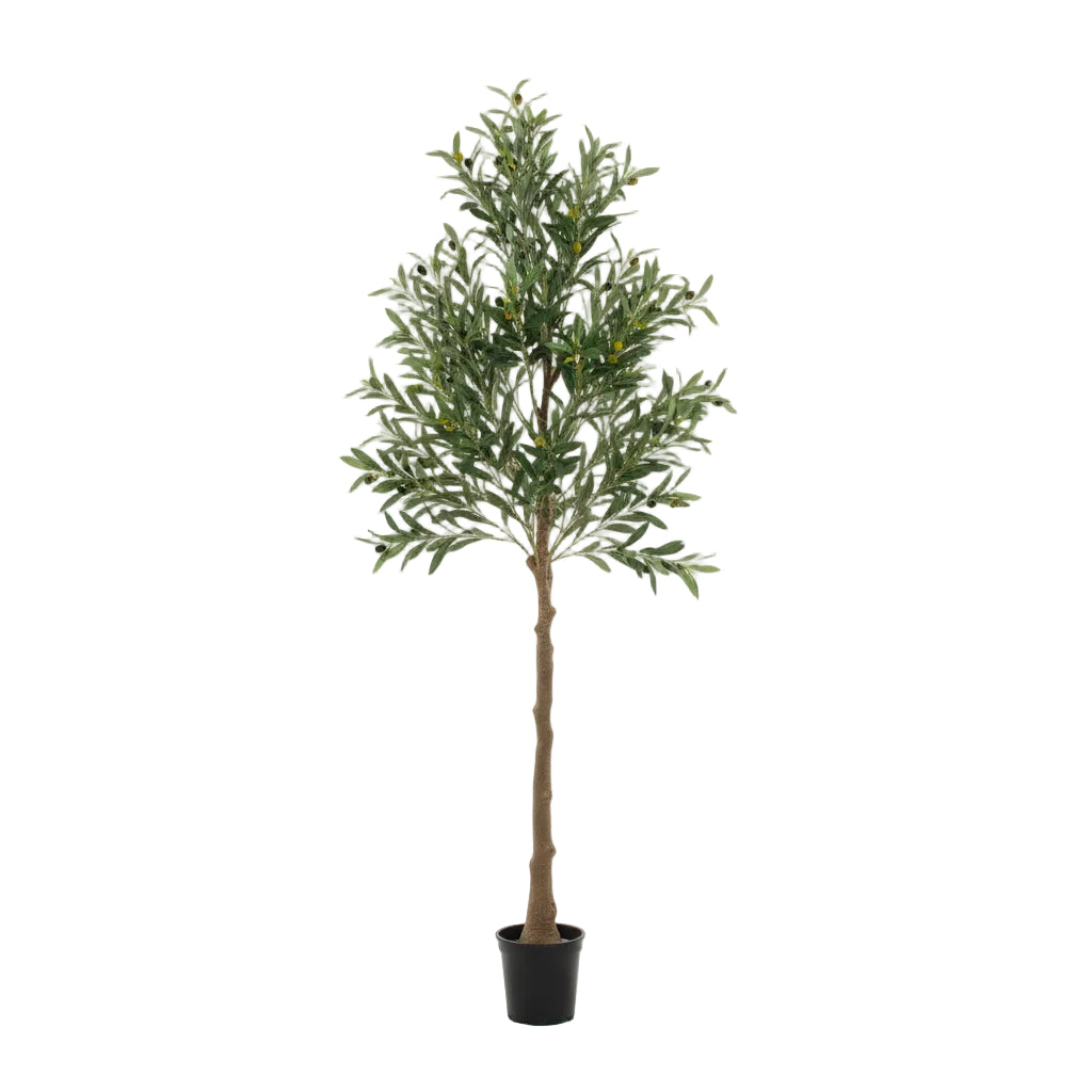 Artificial Olive Plant