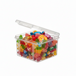 Load image into Gallery viewer, Plastic Container With Lock
