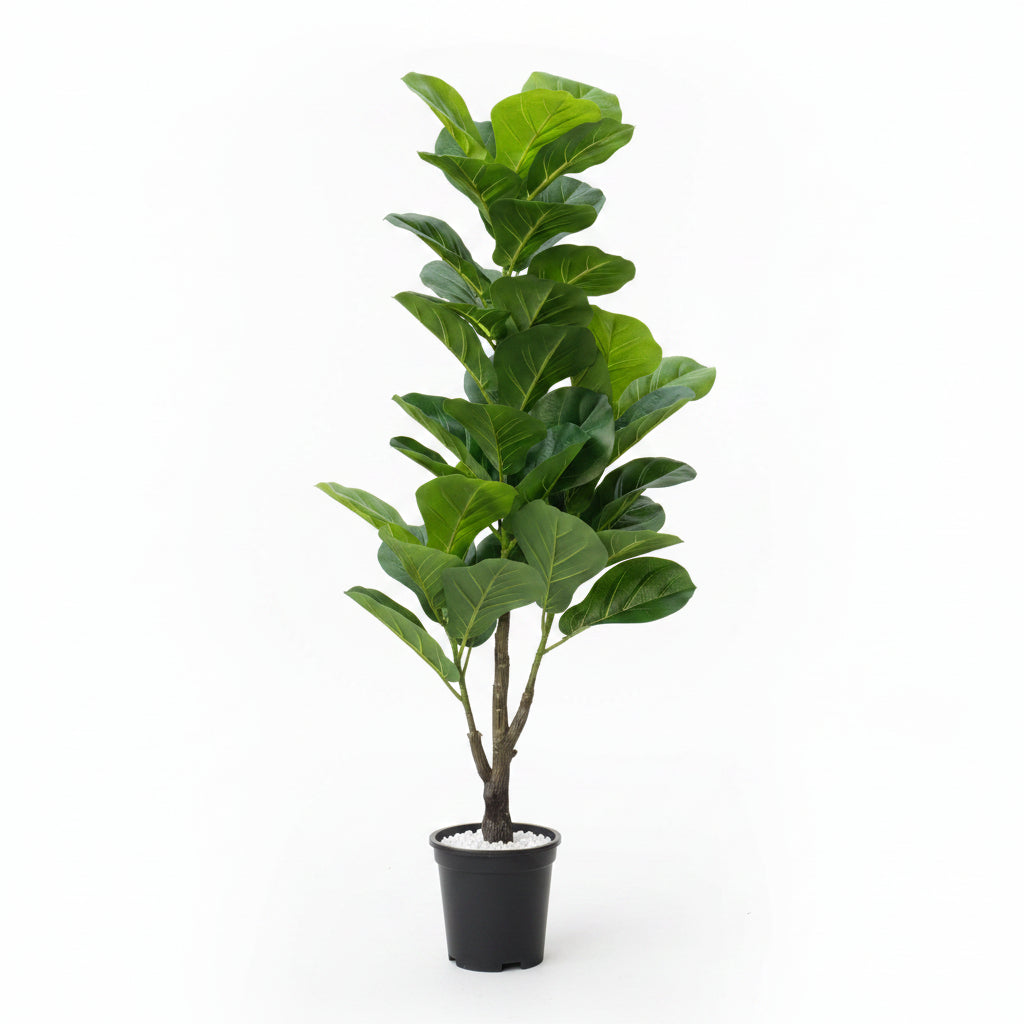 Artificial Ficus Lyrata Plant