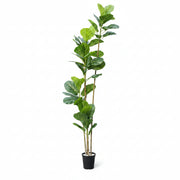 Artificial Ficus Alii Tree