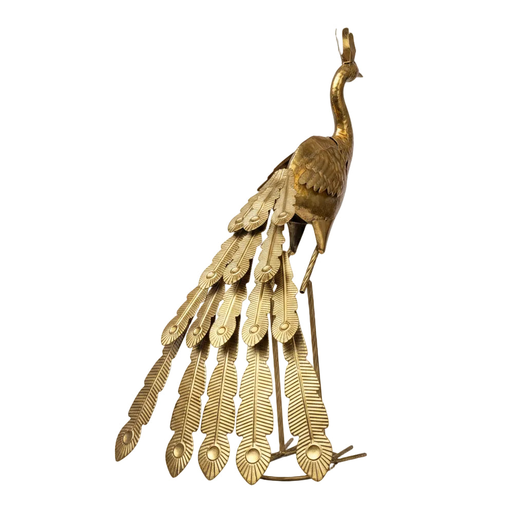 Gold Peacock