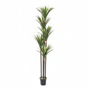 Artificial Dracaena Tree
