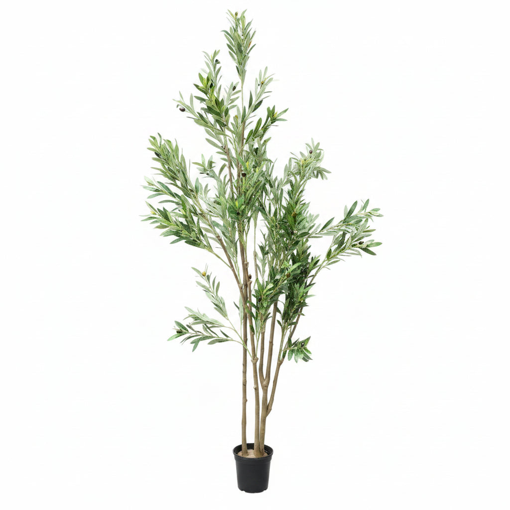 Artificial Olive plant