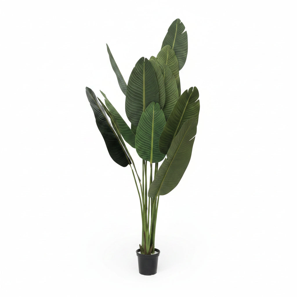 Artificial Plant