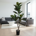 Load image into Gallery viewer, Artificial Ficus Elastica Plant
