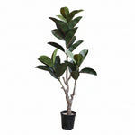 Load image into Gallery viewer, Artificial Ficus Elastica Plant
