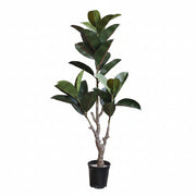 Artificial Ficus Elastica Plant