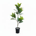 Load image into Gallery viewer, Artificial Ficus Elastica Tree
