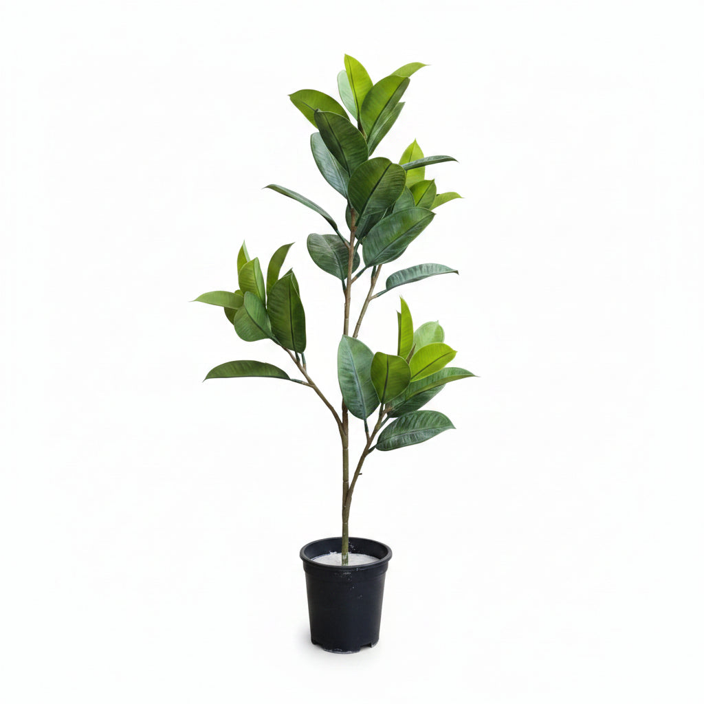 Artificial Ficus Elastica Tree
