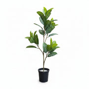 Artificial Ficus Elastica Tree