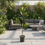 Load image into Gallery viewer, Artificial Ficus Elastica Tree

