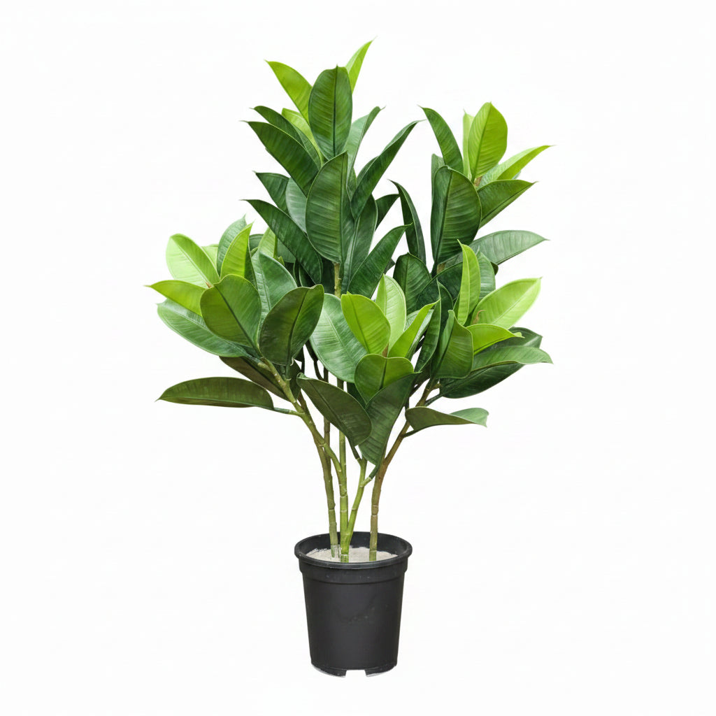 Artificial Ficus Elastica Tree