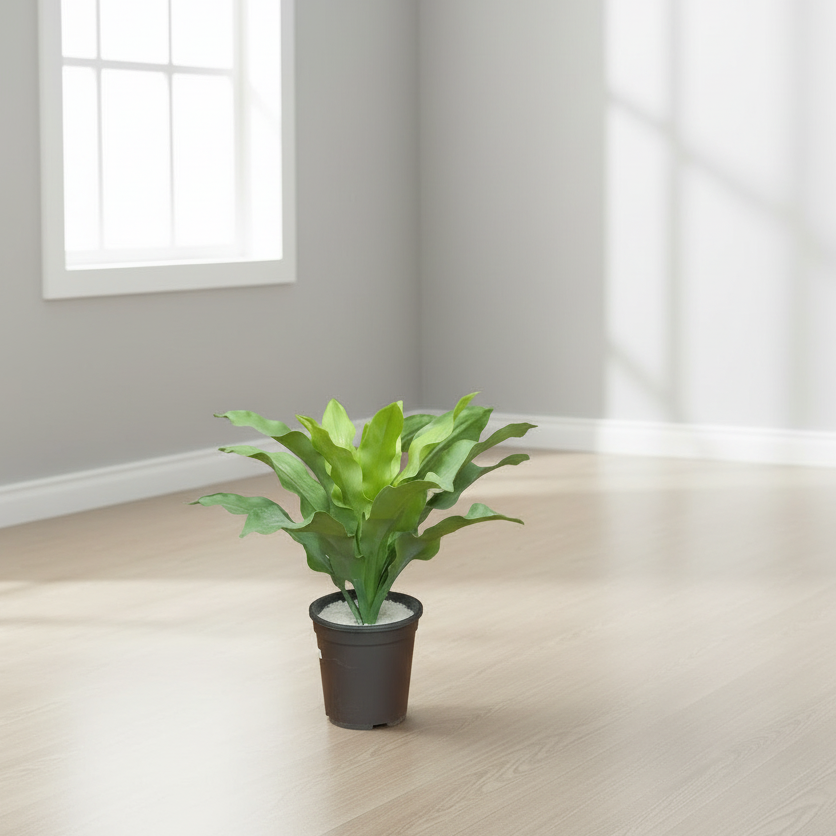 Artificial Asplenium Plant