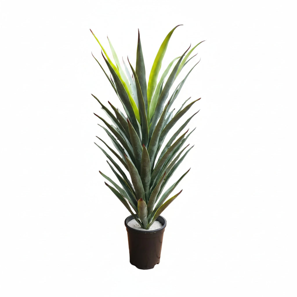 Artificial Agave Plant