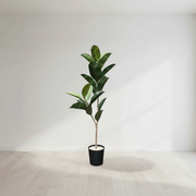 Artificial Ficus Elastica Tree
