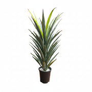 Artificial Agave Plant