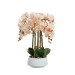Load image into Gallery viewer, Artificial Moth Orchid Plant
