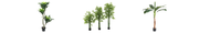 collection Artificial Plants