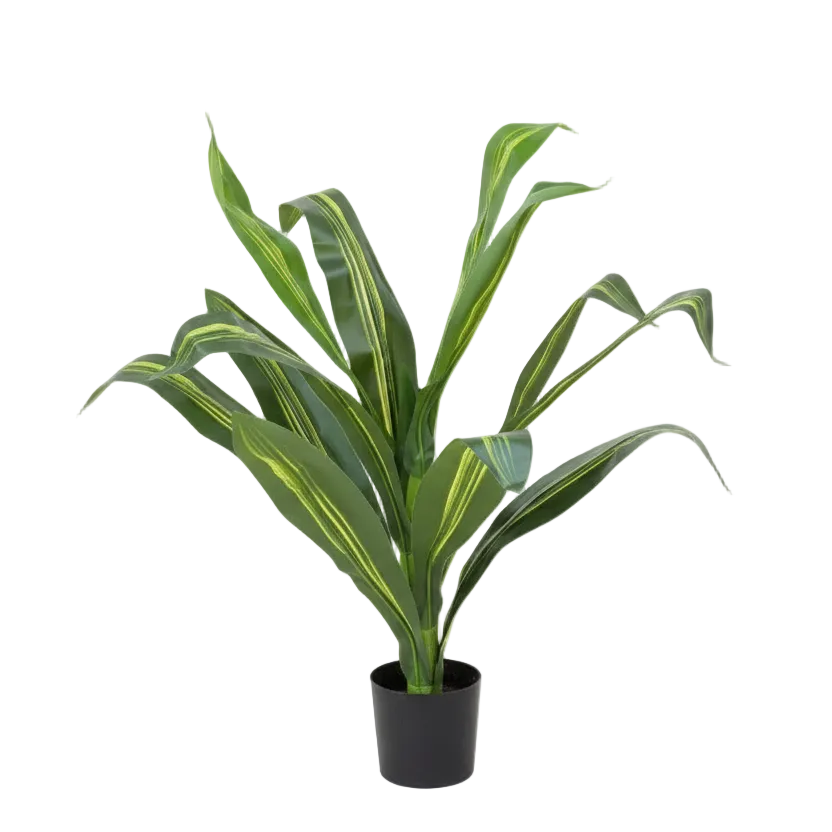 Artificial Dracaena Plant