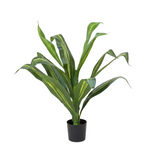 Load image into Gallery viewer, Artificial Dracaena Plant
